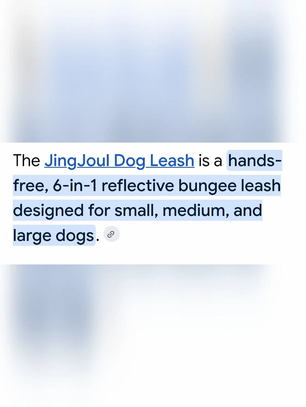 JingJoul 6-in-1 Hands Free Reflective Bungee Dog Leash